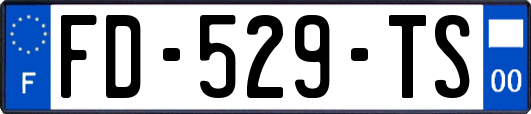 FD-529-TS