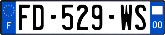 FD-529-WS