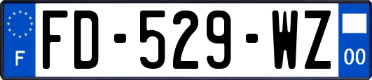 FD-529-WZ