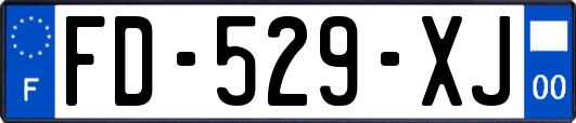 FD-529-XJ