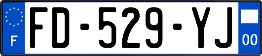 FD-529-YJ