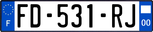 FD-531-RJ