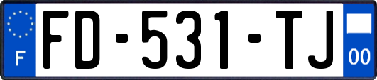 FD-531-TJ