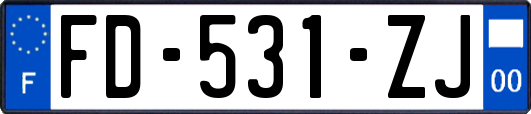 FD-531-ZJ