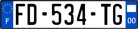 FD-534-TG