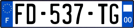 FD-537-TG