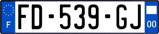 FD-539-GJ