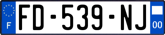FD-539-NJ