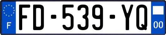 FD-539-YQ