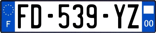 FD-539-YZ
