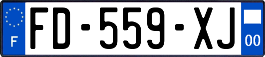 FD-559-XJ