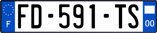 FD-591-TS