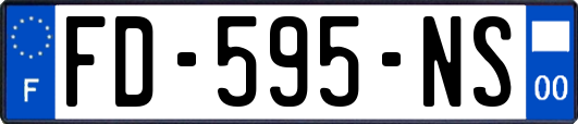 FD-595-NS