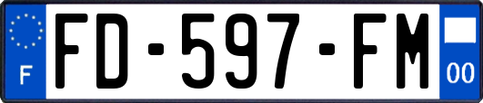 FD-597-FM