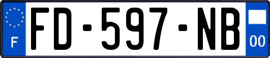 FD-597-NB