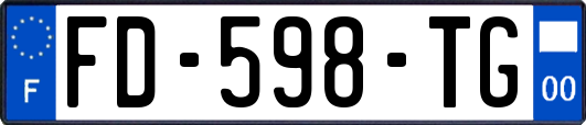 FD-598-TG