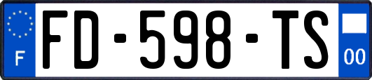 FD-598-TS