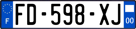 FD-598-XJ