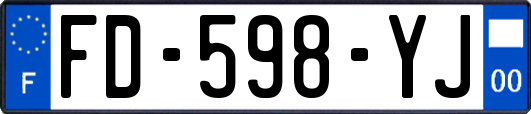 FD-598-YJ
