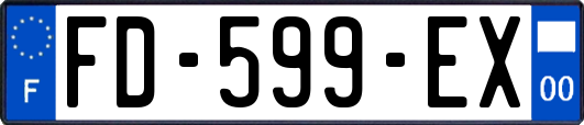 FD-599-EX