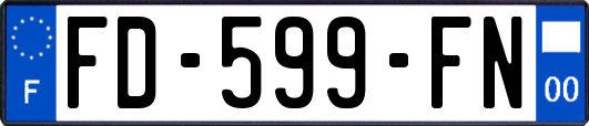 FD-599-FN