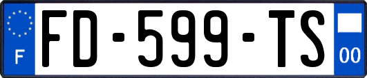 FD-599-TS
