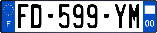 FD-599-YM