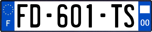 FD-601-TS