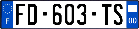 FD-603-TS