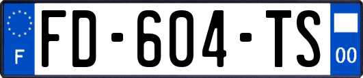 FD-604-TS