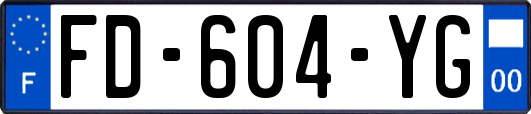 FD-604-YG