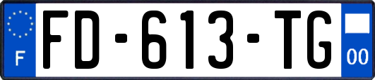 FD-613-TG