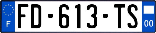 FD-613-TS