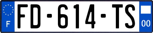 FD-614-TS