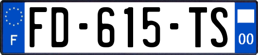 FD-615-TS