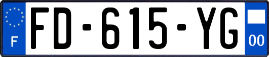 FD-615-YG