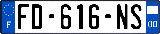 FD-616-NS
