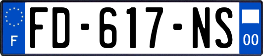 FD-617-NS
