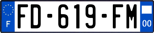 FD-619-FM
