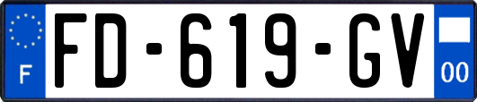 FD-619-GV