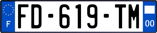 FD-619-TM