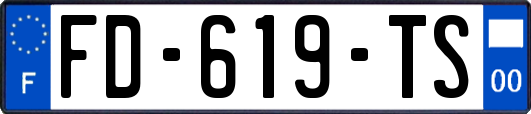 FD-619-TS