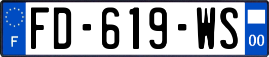 FD-619-WS