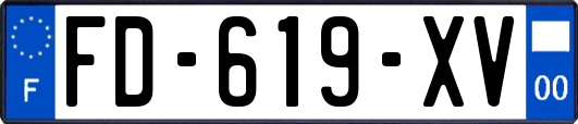 FD-619-XV