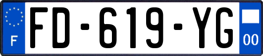 FD-619-YG