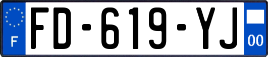 FD-619-YJ