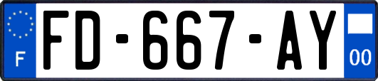 FD-667-AY