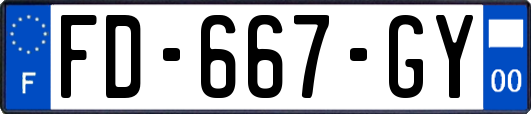 FD-667-GY