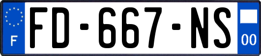 FD-667-NS