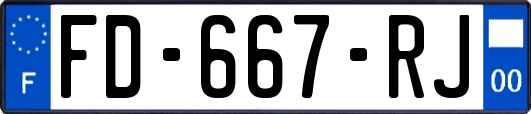 FD-667-RJ